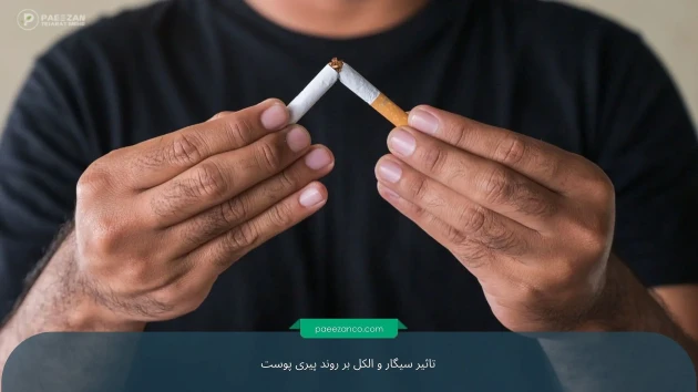 تاثیر سیگار و الکل بر روند پیری پوست 3 تاثیر سیگار و الکل بر روند پیری پوست