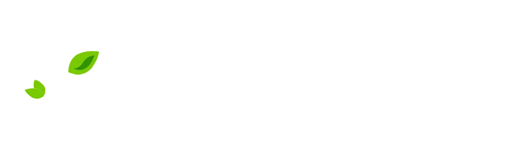 Background-2048x609